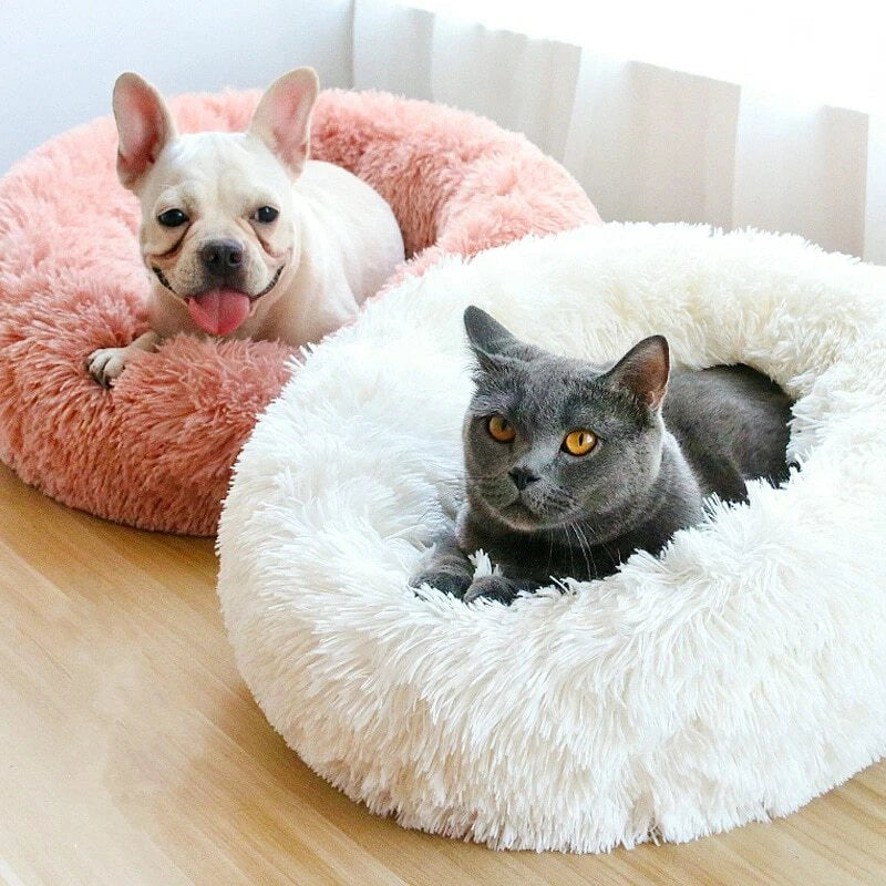 Beds