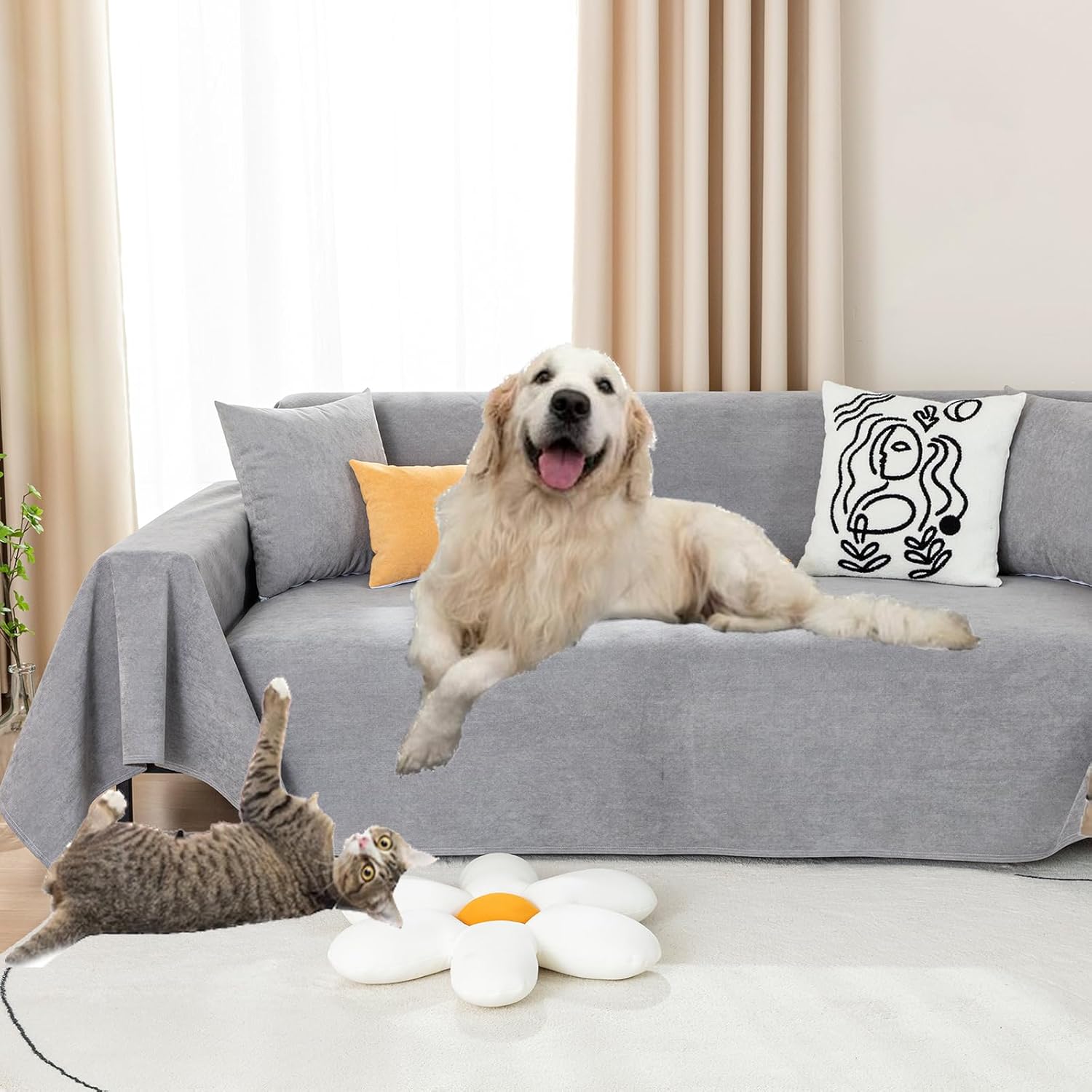 Sofa