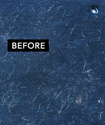 Before - pet hair on furniture